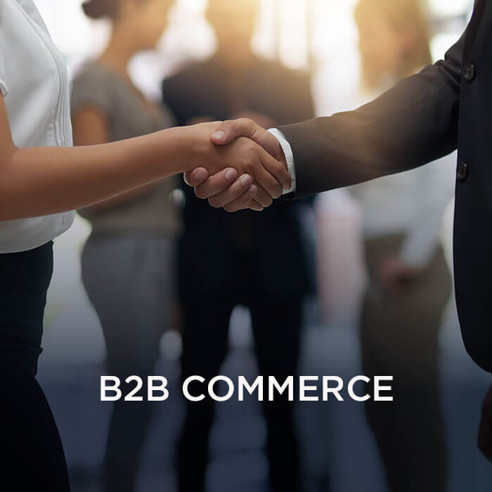 B2B commerce